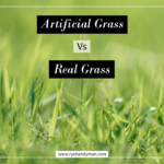 artificial-grass-vs-real-grass